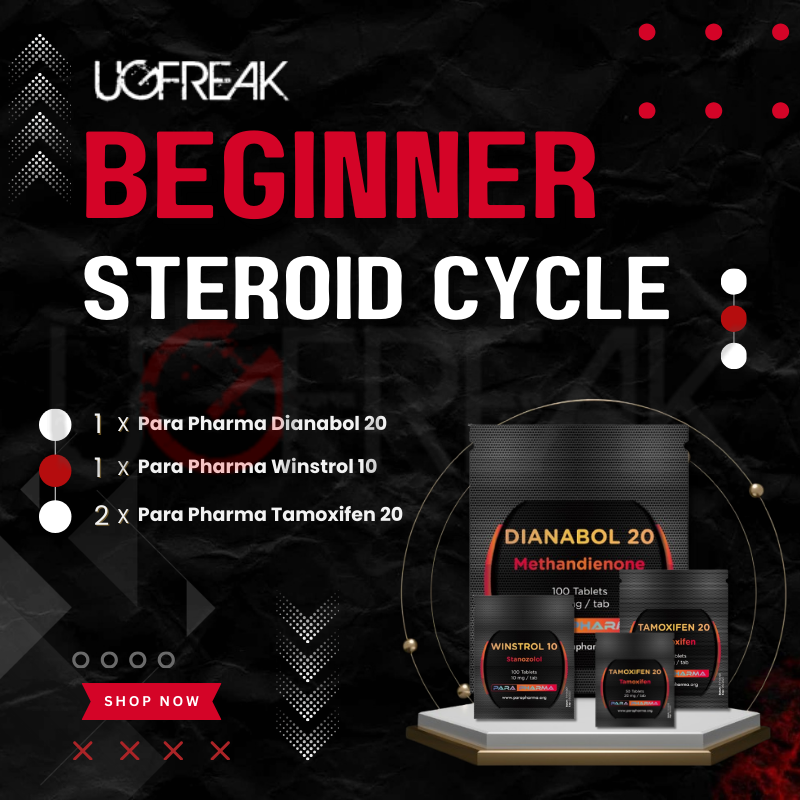 Beginner Steroid Cycle Para Pharma Cycles